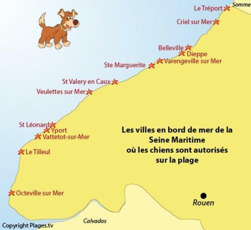 Le Kaleho, Grand Duplex Au Coeur De Dieppe - Netflix Eksteriør bilde